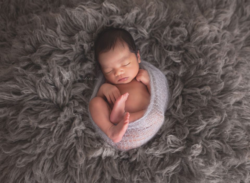 Peekaboo Studios Photography     Toronto Newborn Photographer