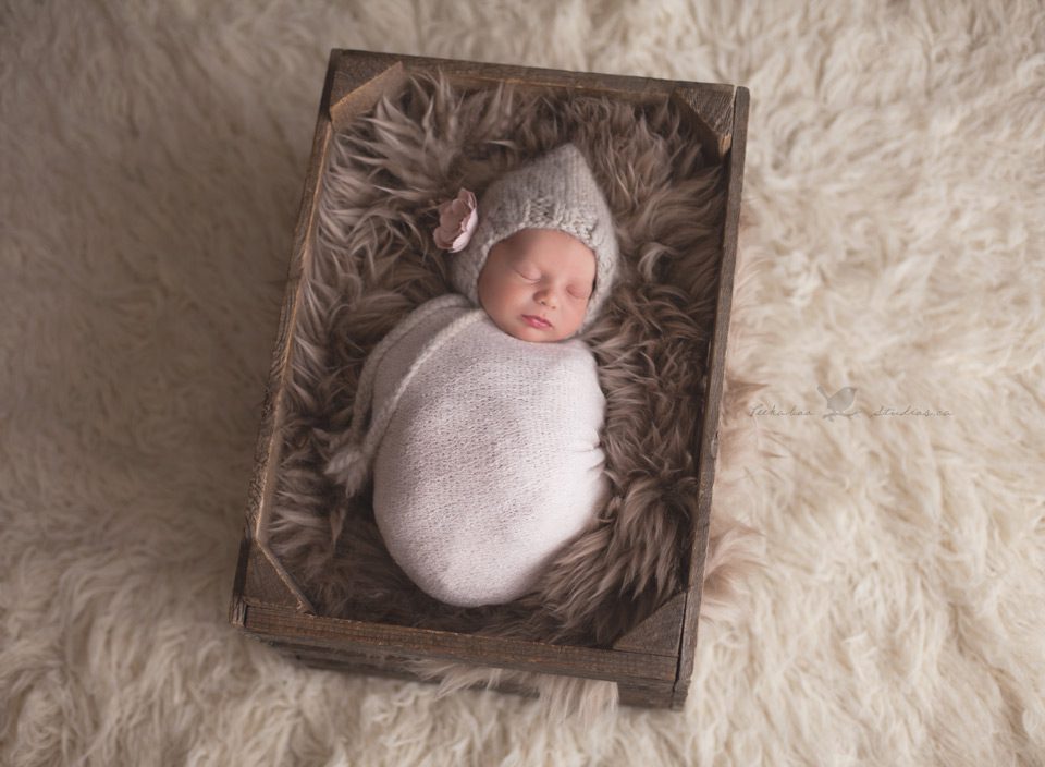 Toronto Baby Photographer www.peekaboostudios.ca