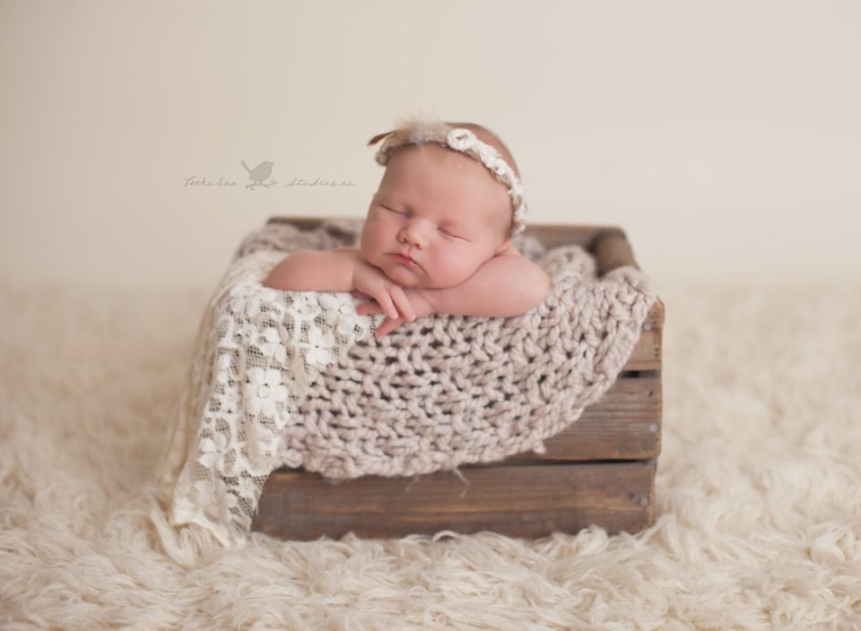 Toronto Newborn Photographer -Peekaboo Studios Photography